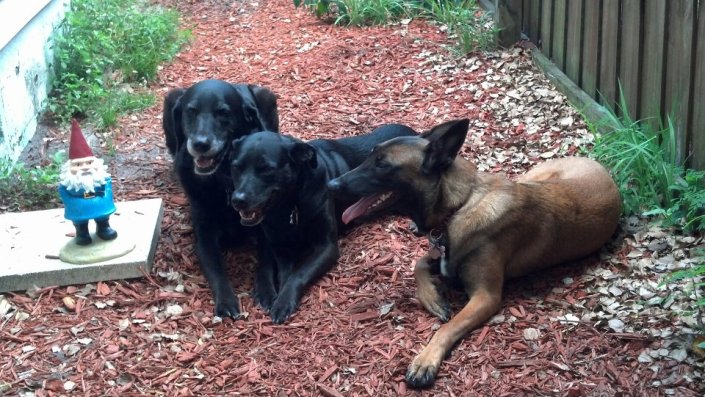 Hannah's Tanning Paradise.