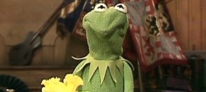 Kermit is not amused by you, Juan Pablo.